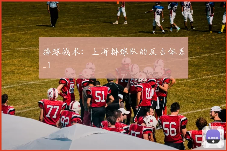 排球战术：上海排球队的反击体系_1