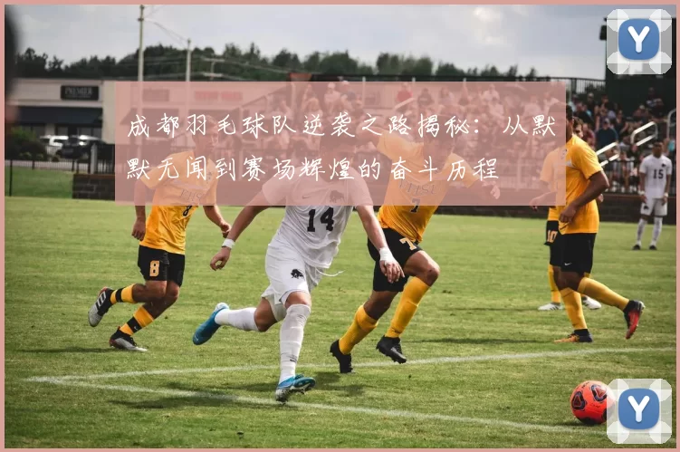 成都羽毛球队逆袭之路揭秘：从默默无闻到赛场辉煌的奋斗历程