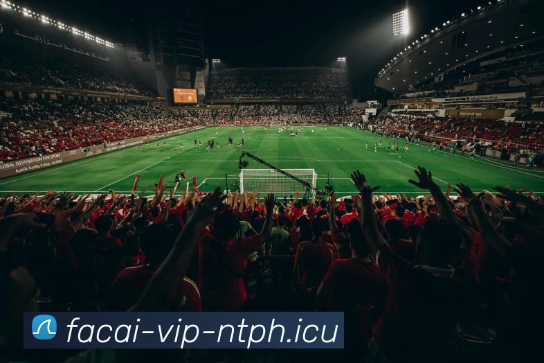 MK体育APP 封面图